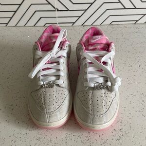 Brand New Women Nike Dunks